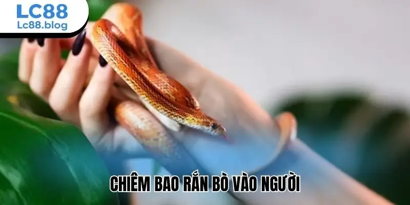 Chiêm bao rắn bò vào người