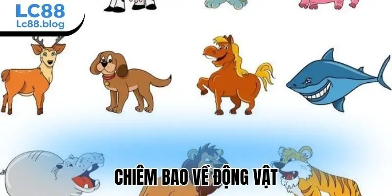 Chiêm bao về động vật
