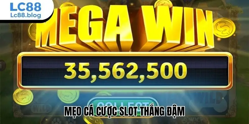Mẹo cá cược slot thắng đậm