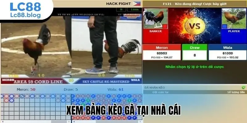 Xem bảng kèo gà tại nhà cái